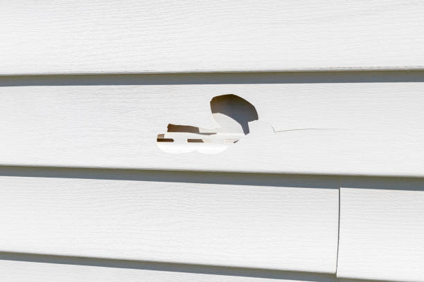 Siding for Multi-Family Homes in Red Boiling Springs, TN